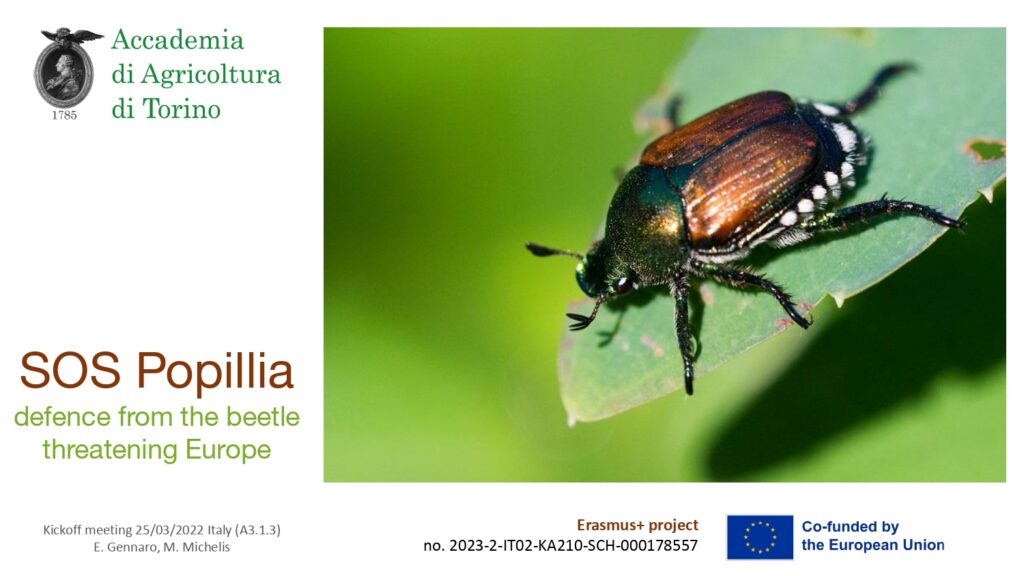 Avvio ufficiale del progetto «SOS Popillia» | Accademia di Agricoltura ...