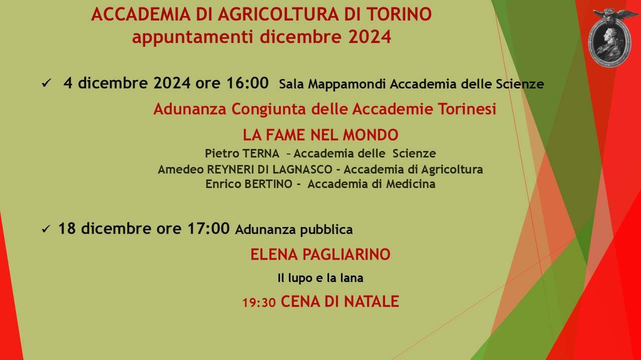 eventi dicembre 2024