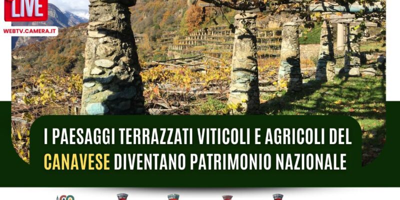 paesaggi terrazzati